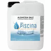 Antialghe piscina ALGHICIDA SALE - Concentrato non schiumogeno