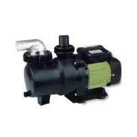 Pompa Piscina per filtrazione ENGLAND 250S raccordi Ø 40 mm - 0,33 HP