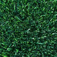 Prato erboso a rotoli RUNNING