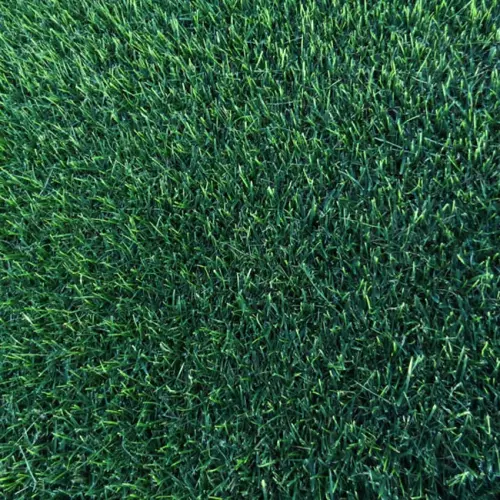 Prato erboso a rotoli ELEGANCE