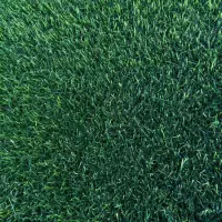 Prato erboso a rotoli ELEGANCE