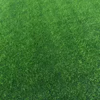 Prato erboso a rotoli DRY