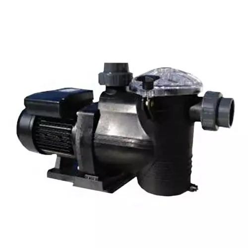 Pompa filtrazione Piscina TRIUMPH raccordi Ø 63 mm - da 0,75 a 3 HP