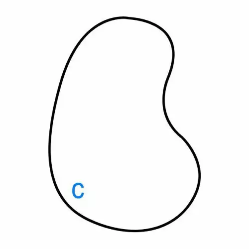 Copertura Invernale ultraleggera WINCOVER 156 gr/m² con occhielli e corda - Forma libera