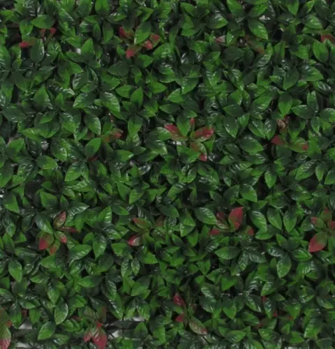 Siepe artificiale PHOTINIA  in PVC a pannelli