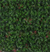 Siepe artificiale PHOTINIA  in PVC a pannelli