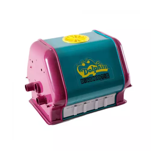 29_Carenatura 2001 Dolphin