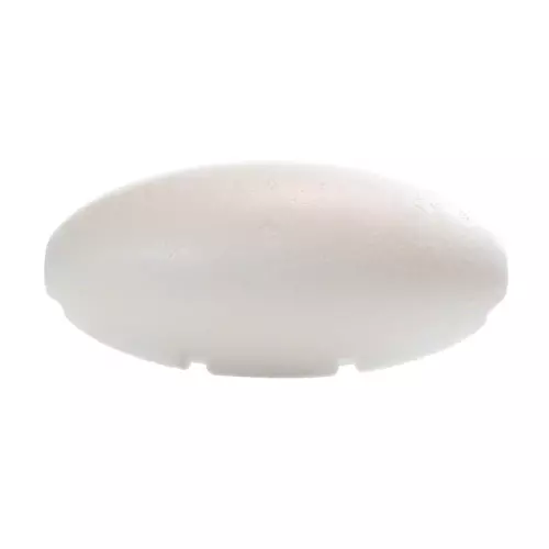 8(02)_Galleggiante polistirolo Dolphin