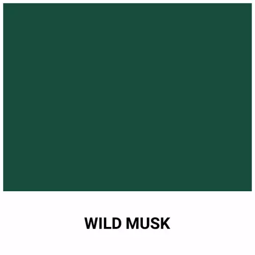 Liquido sigillante per rivestimento Liner SopremaPool ONE e PREMIUM - tanica da 1 L : WILD MUSK