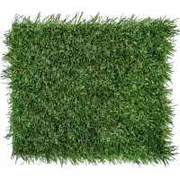 Erba sintetica VENEZIA 30 mm, rotolo da 2 x 25 metri