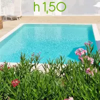 Piscina interrata in casseri di polistirolo ITALIKA® Blok 5,00 x 3,00 h 1,50 m