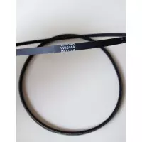 Cinghia di Trasmissione per Robot Zodiac Indigo - Sweepy Free - Voyager 2x - Sweeper